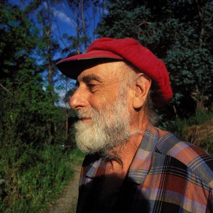800px-Hundertwasser_nz_1998_hg