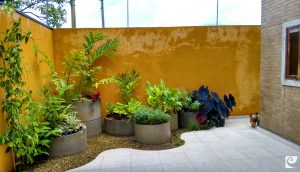 residencia-fj-4